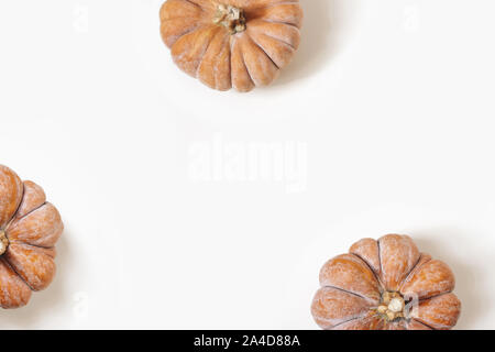 Herbst Rahmen aus orange Kürbisse auf weißem Hintergrund. Herbst, Halloween und Thanksgiving Konzept. Lieferbar flache Fotografie legen Styled Stockfoto