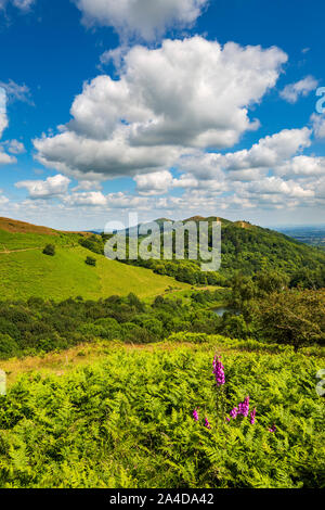 Blick nach Norden entlang der Malvern Hills mit Worcestershire Beacon in der Ferne, England Stockfoto