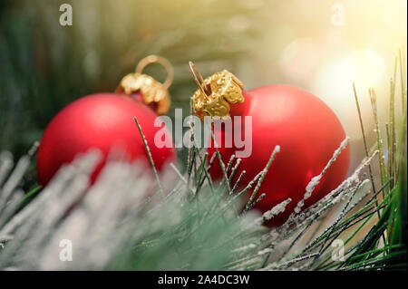 Roten Weihnachtskugeln auf pine Branches mit Licht auf Hintergrund Stockfoto