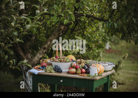 Herbst Obst und Gemüse Anordnung auf einem Gartentisch, Serbien Stockfoto