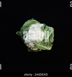 Frisch Blumenkohl auf schwarzem Hintergrund isoliert. Kochen Konzept Stockfoto