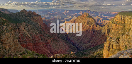 Canyon Blick von Osten Buggeln Hill, South Rim, Grand Canyon, Arizona, United States Stockfoto