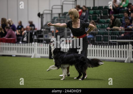 Der Kennel Club Entdeckung Hunde Ausstellung in Excel London UK Bild zeigt Kath Hardman mit ihrem Denby (Collie im Alter von 8), heelwork Musik Anzeige Stockfoto