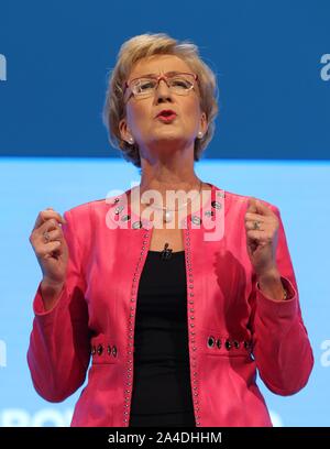 ANDREA LEADSOM, 2019 Stockfoto