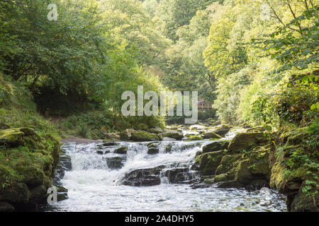 Der Osten Lyn Fluss durch die Wälder unterhalb Watersmeet, Lynton, Devon, Großbritannien fließt. September, Exmoor, Stockfoto