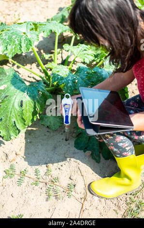 Bauer messen Boden in Zucchini Plantage. Boden messen Gerät und Tablet. Neue Technologien in der Landwirtschaft. Stockfoto