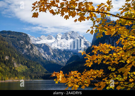 Mount Dachstein von berühmten Lake Gosau, Österreich gesehen. Eine bunte Herbst Spektakel in den Alpen mit einem gelben, orange Ahorn schön Illu Stockfoto