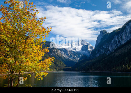 Mount Dachstein von berühmten Lake Gosau, Österreich gesehen. Eine bunte Herbst Spektakel in den Alpen mit einem gelben, orange Ahorn schön Illu Stockfoto