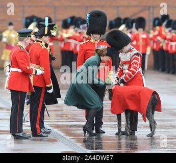 Foto muss Gutgeschrieben © Kate Grün/Alpha Presse 077017 17/03/2013 Kate Herzogin von Cambridge Katherine Catherine Middleton werden präsentiert den letzten Zweig von Shamrock zu neuen Maskottchen des Regiments, sieben Monate alten Irischen Wolfshund Domhnall, die Durchführung war seine erste öffentliche Engagement an der St. Patricks Day Parade am Mons Kaserne in Aldershot, Hampshire gehalten Stockfoto