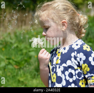 Junge Mädchen bläst Löwenzahn Uhr Stockfoto