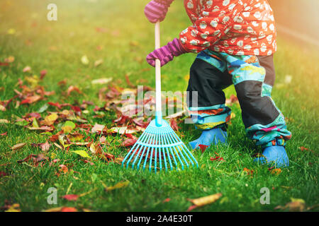 Herbst - Kind harken Herbstlaub vom Rasen zu Hause Hinterhof Stockfoto