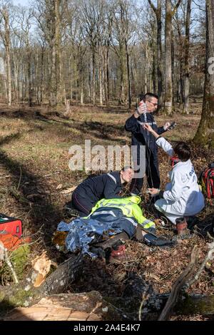 Rettungsaktion MIT DER FEUERWEHR UND DER SAMU FÜR EINE JUNGE LOGGER HIT IM KOPF DURCH EINEN BAUM IM WALD, ALENCON (61), Frankreich Stockfoto