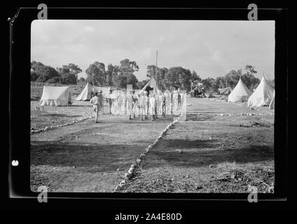 Die vintage Saison Zikh" Ron Ya'aqov, 24. Juli 1939 Stockfoto