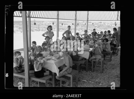Die vintage Saison Zikh" Ron Ya'aqov, 24. Juli 1939 Stockfoto