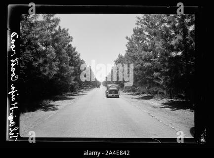 Die vintage Saison Zikh" Ron Ya'aqov, 24. Juli 1939 Stockfoto