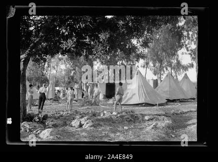 Die vintage Saison Zikh" Ron Ya'aqov, 24. Juli 1939 Stockfoto