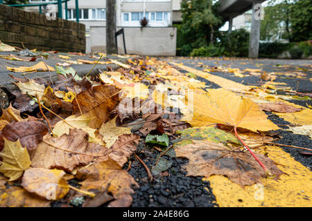 Blätter im Herbst liegen, gegen die Bordsteinkante am Rand der Straße teilweise verdecken doppelten gelben Linien. Stockfoto