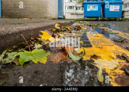 Blätter im Herbst liegen, gegen die Bordsteinkante am Rand der Straße teilweise verdecken doppelten gelben Linien. Stockfoto