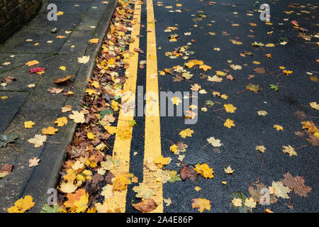 Blätter im Herbst liegen, gegen die Bordsteinkante am Rand der Straße teilweise verdecken doppelten gelben Linien. Stockfoto