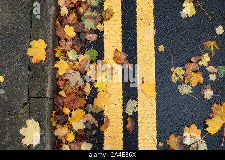 Blätter im Herbst liegen, gegen die Bordsteinkante am Rand der Straße teilweise verdecken doppelten gelben Linien. Stockfoto