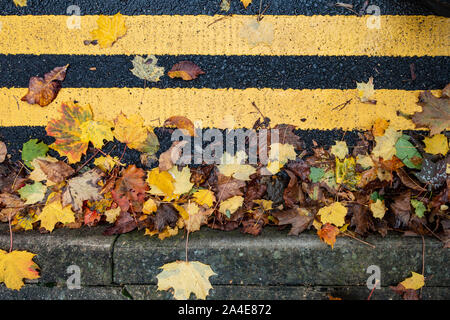 Blätter im Herbst liegen, gegen die Bordsteinkante am Rand der Straße teilweise verdecken doppelten gelben Linien. Stockfoto