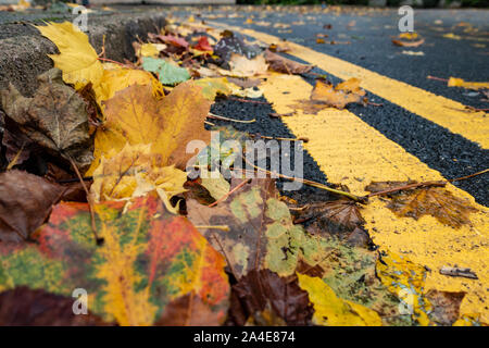 Blätter im Herbst liegen, gegen die Bordsteinkante am Rand der Straße teilweise verdecken doppelten gelben Linien. Stockfoto
