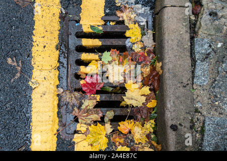 Blätter im Herbst liegen, gegen die Bordsteinkante am Rand der Straße teilweise verdecken doppelten gelben Linien. Stockfoto