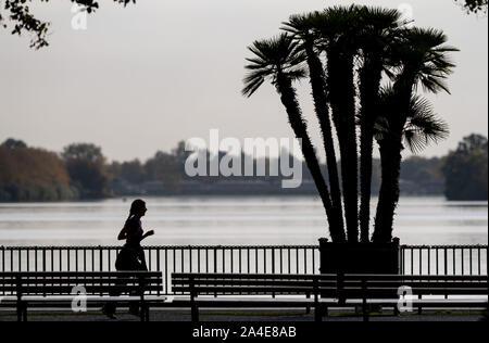 Hannover, Deutschland. 14 Okt, 2019. Ein Jogger Spaziergänge am Ufer des Maschsees entlang einer Palme. Credit: Peter Steffen/dpa/Alamy leben Nachrichten Stockfoto