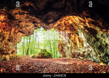 Höhle im Frühjahr Wald. Landschaftsfotografie Stockfoto