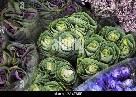 Blumensträuße von dekorativen Kohl in Wedding Bouquets, in Zellophan verpackt zum Verkauf Stockfoto