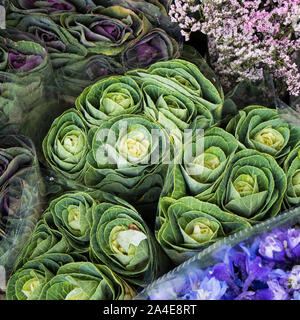 Blumensträuße von dekorativen Kohl in Wedding Bouquets, in Zellophan verpackt zum Verkauf Stockfoto