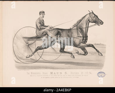 Die wunderbare mare Maud S. Datensatz 2: 10 3/4 Stockfoto