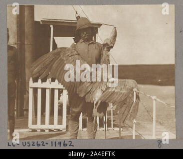 Theodore Roosevelt mit einem Wal-billed Stork auf Safari getötet Stockfoto