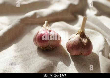 Zwei Knoblauch Zwiebeln auf einem vintage Leinen Tischdecke Stockfoto