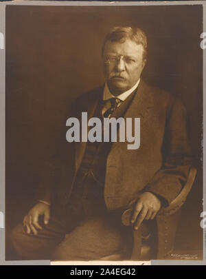 Theodore Roosevelt]/ Underwood & Underwood, Fifth Ave., N.Y Stockfoto