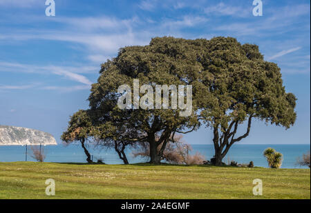 Querformat über Swanage Bay in Richtung Ballard in Swanage, Dorset, Großbritannien Stockfoto