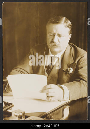 Theodore Roosevelt, am Schreibtisch sitzen, lesen Stockfoto