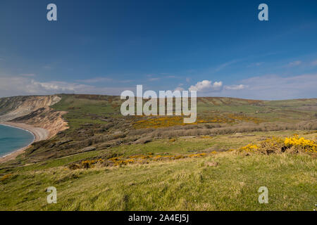 Landschaft Blick über Wiesen auf den Klippen in Richtung Worborrow Bay, Dorset, Großbritannien suchen Stockfoto