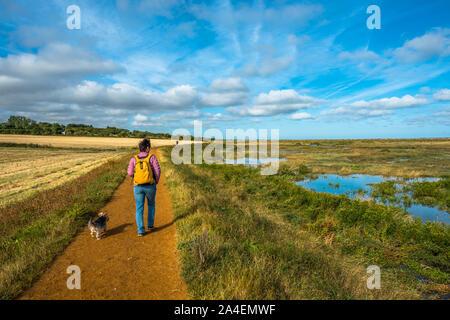 Morston Salzwiesen von der Blakeney zu Morston Küstenweg gesehen. Norfolk, England, UK. Stockfoto