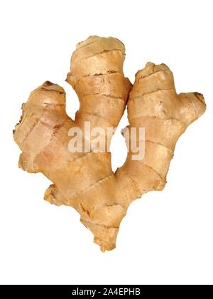 Große ginger root auf weißem Hintergrund Stockfoto