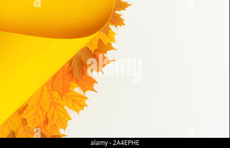 Ahornblätter Hintergrund auf lebendige gelben und weißen Hintergrund. Flach Stil. Herbst Konzept. Stockfoto