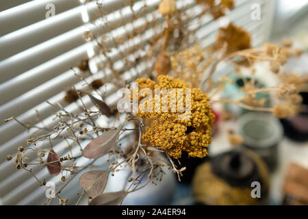 Getrocknete Blumen in einer Vase auf der Fensterbank. Verschiedene Blätter und Gras. Stockfoto