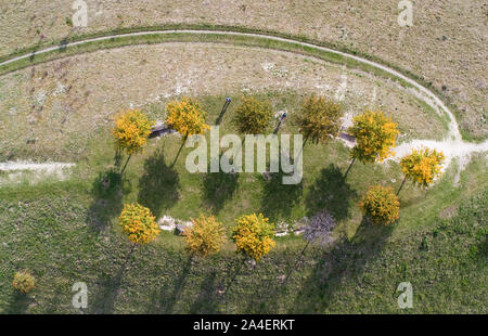 Hannover, Deutschland. 14 Okt, 2019. Autumnally verfärbten Bäume stehen auf dem Kronsberg. Credit: Julian Stratenschulte/dpa/Alamy leben Nachrichten Stockfoto