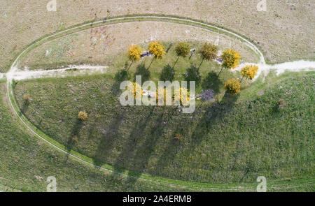 Hannover, Deutschland. 14 Okt, 2019. Autumnally verfärbten Bäume stehen auf dem Kronsberg. Credit: Julian Stratenschulte/dpa/Alamy leben Nachrichten Stockfoto