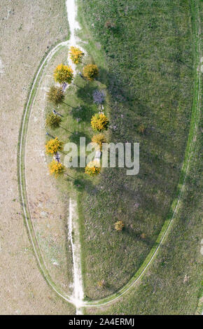 Hannover, Deutschland. 14 Okt, 2019. Autumnally verfärbten Bäume stehen auf dem Kronsberg. Credit: Julian Stratenschulte/dpa/Alamy leben Nachrichten Stockfoto