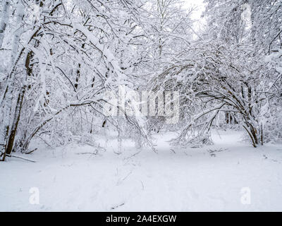 Winterlich verschneite Landschaft in Sachsen Stockfoto