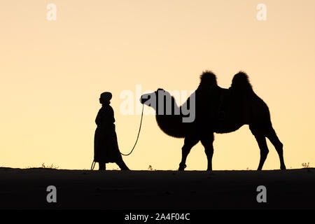 Mongolische Nomaden Frau mit ihrem baktrischen Kamel in der Wüste Dünen bei Sonnenaufgang. Die Gobi, Mongolei. Stockfoto