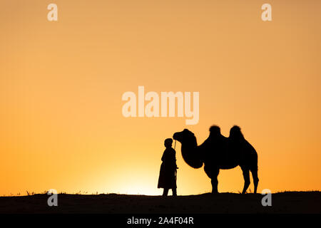 Mongolische Nomaden Frau mit ihrem baktrischen Kamel in der Wüste Dünen bei Sonnenaufgang. Die Gobi, Mongolei. Stockfoto