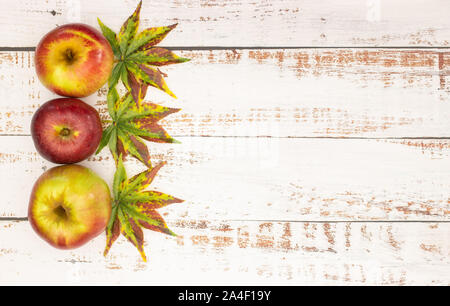 Herbst Konzept - Bücher, Blätter, Äpfel und Tannenzapfen in herbstlichen Farben auf dem Tisch Stockfoto