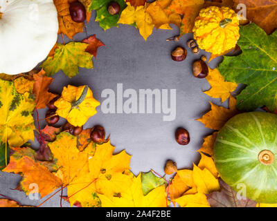 Herbst Hintergrund mit gelbem Ahorn Blätter, rote Äpfel und Kürbisse. Rahmen der Herbsternte im Alter von Holz mit kopieren. Mockup für saisonale bietet eine Stockfoto
